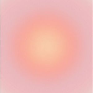 Meet your Posher, Allie